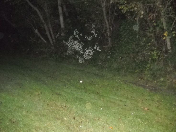 Orb in Gettysburg Battlefield